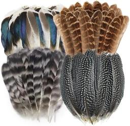 Natural manchado Turquia penas para artesanato, feisão penas, DIY chapéu arranjos florais asa, casamento pena, 4 estilos, 40pcs - Image 1