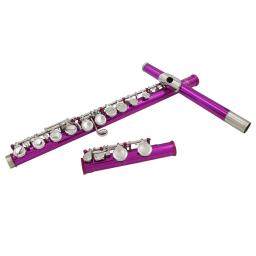 Slade flauta de tom c com 16 buracos, chave e, rosa vermelha, instrumento profissional de sopro, chave fechada, tubo de cuproníquel, kit para iniciantes - Image 2
