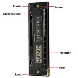 Boca Órgão Judeu's Harp Harmonica com Case Puzzles para Crianças, Instrumento Musical Profissional, C Tone, Blues, Boca, 10 Buracos - Image 5
