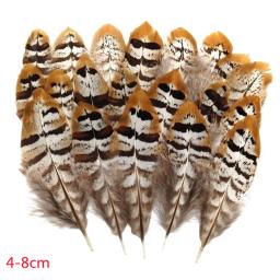 Pena De Faisão Natural Para Decoração De Casamento, Avestruz E Turquia Plume, Acessórios De Natal, Mesa DIY Centere, Artesanato, 20-500Pcs - Image 6