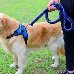 Trela do chicote de fios do cão de náilon para cães médios grandes leva o treinamento do animal de estimação correndo segurança montanha escalada trelas do cão fornecimento de cordas - Image 6