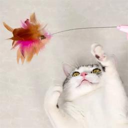 Brinquedos interativos para gatos, Teaser de penas engraçadas, Vara com Bell, Coleira de animais, Gatinho jogando varinha, Brinquedos de treinamento para gatos, Suprimentos - Image 1