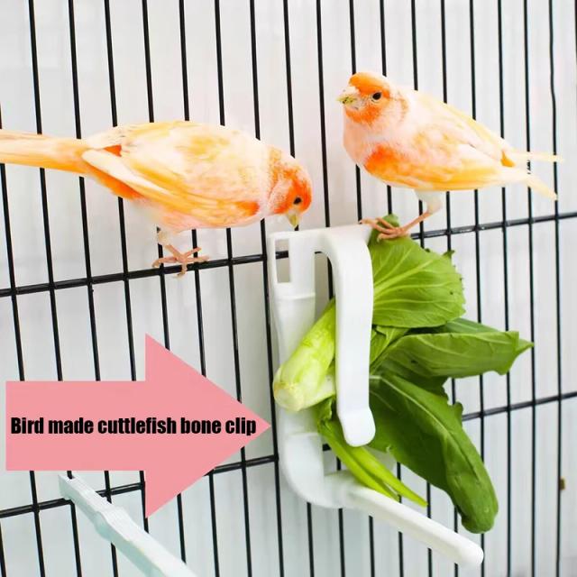 Suporte para Ração de Aves em Plástico com Clips para Frutas e Vegetais - Acessórios Exclusivos para Alimentação de Animais de Estimação