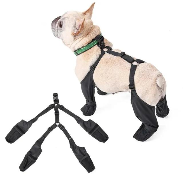 Sapatos impermeáveis e antiderrapantes para cães de todos os tamanhos: proteção e conforto em dias de chuva