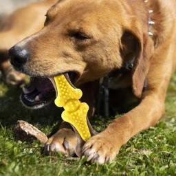 Brinquedos interativos de dentição para cachorro, Dog Teeth Cleaning Brinquedos de treinamento para mastigar, Resistência à mordida, Puppy Bone Toy - Image 5