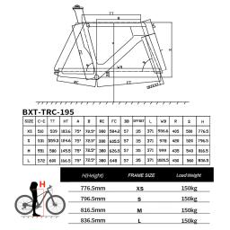 Bxt novo quadro de pista de carbono engrenagem fixa pista bicicleta quadro de fibra de carbono TRC-195 conjunto de quadros de pista de velocidade única 700cx28c - Image 2