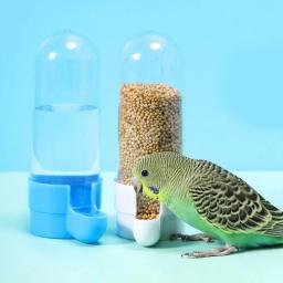 Pendurado Alimentador Pet para Esquilo, Papagaio Dispenser De Água, Bird Food Box, Gaiola Acessórios, Aves Suprimentos - Image 2