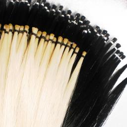 NAOMI-Cauda de Cabelo Mongol Cavalo para Violino Bow Horsehair, Natural Genuine Cavalo, Melhor para Replacment Arco, Grau AAA, 80cm Comprimento, 250g, 4/4-1/8 - Image 3