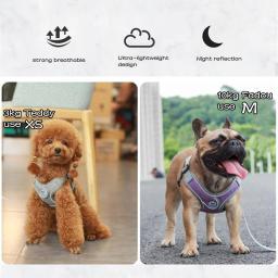 Ajustável Pet Harness Vest, malha reflexiva, cinta no peito, cão e gato pequenos e grandes, acessórios para cachorros - Image 2