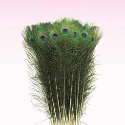Penas naturais do pavão para arranjos florais DIY, pena real, decoração da mesa do casamento, decoração do vaso, 30pcs - Image 4