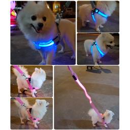 Nylon LED Arnês de Segurança para Animais de Estimação, Acessórios para Cães, Luz Piscando, Arnês, Corda Trela, Cinto, Colarinho, Pet Supplies - Image 4
