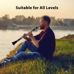 Bb-Binocular ABS Clarinete Set, Clarinete Profissional, Ebonite Instrumento de Sopros, 10 palhetas Chave de fenda, Bracket Handbag - Image 5