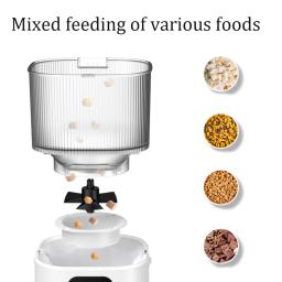 3L Camera Video APP Alimentador Automático Pet Dispensador de Alimentos Inteligente Para Gatos Cães Temporizador Tigela Auto Alimento Seco Pet Alimentação Pet Supplies - Image 4