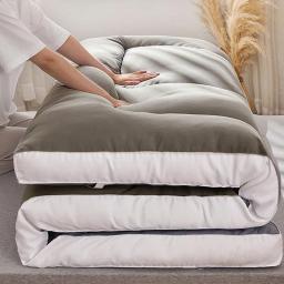 Tatami Colchão Confortável para Dormitório Estudantil, Fibra de Soja Única, Colchão Macio, Estofados, Cama Futon Dupla, Tapete de Chão - Image 2