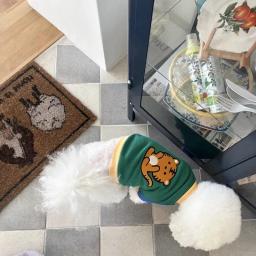 Roupas para cães de estimação com animal fofo, camisa de inverno, pulôver quente de pelúcia, 2 pés, roupas Schnauzer casuais, novas - Image 6