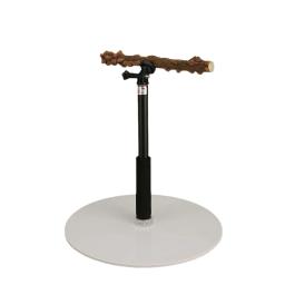 Altura ajustável Parrot Poleiro Stand, Suporte para Treinamento Indoor e Outdoor Bird, Toy Parakeet, 12.9-36.2in - Image 1