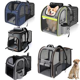 Portátil respirável ombro duplo gato saco, dobrável filhote mochila, pet fornecimentos, elegante e expansível - Image 1