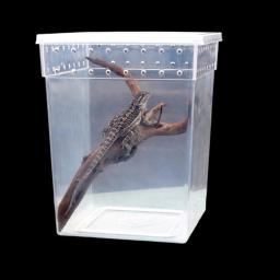 Caixa de alimentação transparente réptil, lagarto, tarântula, terrário de criação, gaiola para incubação, pet house para tartaruga pequena cobra - Image 2