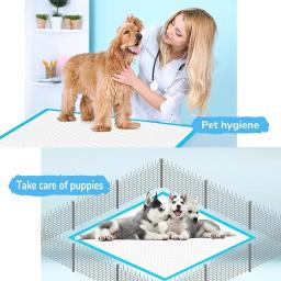 Super Absorvente Pet Fralda, Almofadas de urina grossa para cães, Fralda descartável de urina rápida, Fraldas para cães e gatos, Desodorante Pet Supplies - Image 3