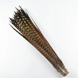 Penas naturais de feisão para artesanato, decoração de penas grandes, extensões de roupas na cabeça, plumas de carnaval, 10-75cm - Image 4