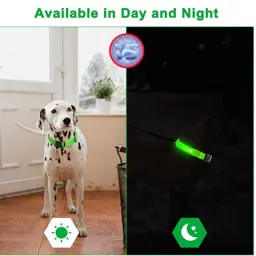 Coleira Luminosa USB Recarregável para Animais de Estimação, LED ajustável, Coleira de cão brilhante, Grande, Pequeno, Cat Night Light - Image 5