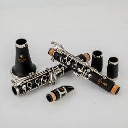 Professional Japão Instrumentos de Sopros, Clarinete Tubo Preto, Case Acessórios, 650 B-Flat Tune, Alta Qualidade, Novo - Image 3