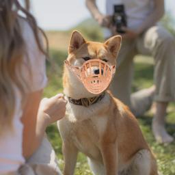 Focinho de treinamento ajustável para cães, controle antimordida, mordida e latido, tipo cesta, animal de estimação, cachorro, tamanho XS - Image 6