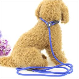 Qualidade cão de estimação trela corda náilon treinamento ajustável lead cão de estimação trela cão cinta corda tração cão arnês coleira chumbo - Image 6
