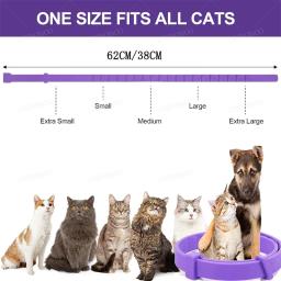 Coleira de feromona calmante ajustável para cães, colar confortável para cachorro e gatinho, aliviar a ansiedade, acessórios para cães grandes, novo lançamento - Image 6