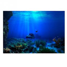 3D Efeito Luz Solar Subaquática Raios Caverna Fundo Do Aquário Adesivo Selfadhesive Fish Tank Backdrop Decorações - Image 4