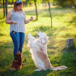 Clickers de treinamento para cães para treinamento, mau comportamento, ferramentas interativas para gato, cavalo para treinar, parar de latir - Image 2