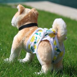 Calças Fisiológicas Respiráveis com Laço, Roupa De Fralda De Cachorro, Roupa Interior De Elasticidade, Calcinha Bonita para Cachorro e Gato, Pet Shop - Image 4