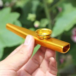 Lightweight Metal Kazoo Flauta para iniciantes, instrumento musical portátil, amantes, instrumento de sopro, design simples, venda quente, 1pc - Image 1