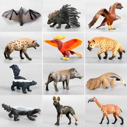 Modelos animais selvagens realistas, Figurinhas de animais de floresta rara, Brinquedos Action Figure, Anta malaia, tamanduá, Modelo texugo, Brinquedos Educativos - Image 1