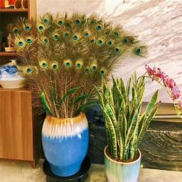 Penas de pavão natural para joalheria, plumas longas, acessórios de festa artesanais, decoração por atacado, 25 30 40 50 60 65cm - Image 3