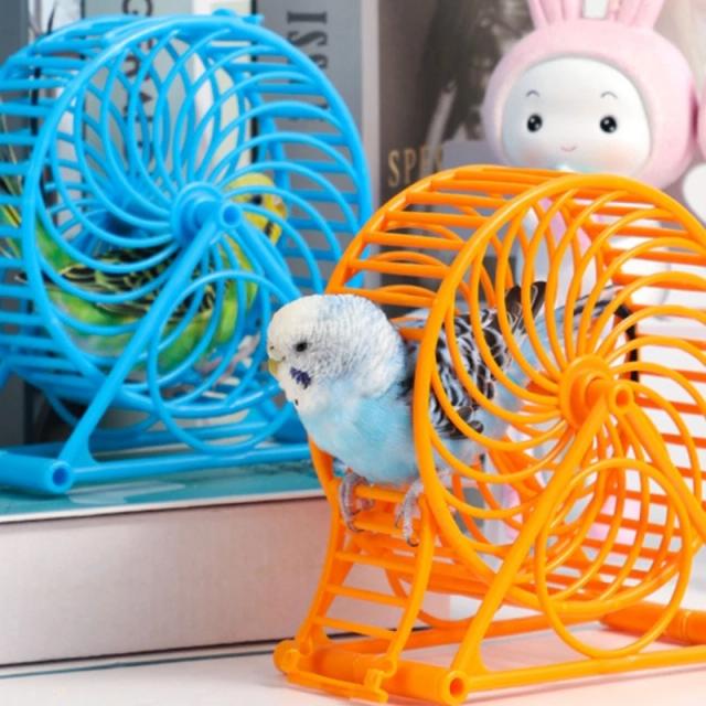 Roda de Exercício para Papagaios com Suporte: Brinquedo Ideal para Jogging e Atividades na Gaiola