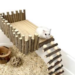 Natural De Madeira Hamster Escalada Brinquedos, Exercício Atividade Gaiola, Plataforma De Mastigação, Hamsters, Chinchilas, Coelhos - Image 2