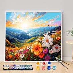 Kit de Pintura Acrílica Digital, Flores Silvestres DIY e Bela Arte Sky, Canvas Pintadas à Mão, Presente Surpresa Personalizada, Home Decor - Image 1