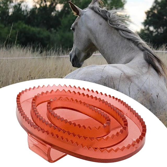 Escova de Aliciamento de Cavalo PVC Cerdas Macias PVC 16cm