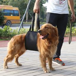 Colete de elevação para cachorro, suporte de elevação para ajuda canina, acessório para animais de estimação s/m/g/xl - Image 2