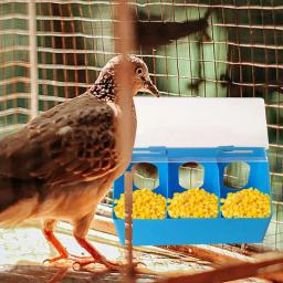 Alimentação à prova de vazamento, tigelas e alimentadores ajustáveis para animais de estimação Alimentador de codorna Alimentador de pintinhos, Pigeon Feed Box com três furos - Image 4