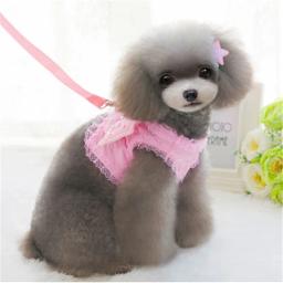 Guia para coleira de cachorro e gato, pequeno, pérola, fofo, asas de anjo, princesa, pet, cachorros, correias ajustáveis - Image 4