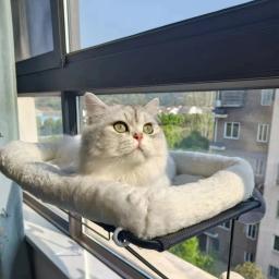 Camas para cochilos para animais de estimação Poleiro para gatos em ambiente interno Rede de descanso para montagem em janela de - Image 1