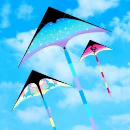 Frete grátis delta pipas voando para crianças pipas linha brinquedos divertidos esportes rc parapente kite carretel enrolador profissional power kite koi - Image 2
