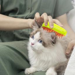 Escova de vapor para cães e gatos de estimação, 3 em 1, spray elétrico, suprimentos vaporosos, depilação, produtos de higiene, acessórios para gatos - Image 2