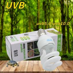 Lâmpada suculenta de poupança de energia para répteis, suplemento de cálcio, luz UV para lagarto, tartaruga, Home Pet Supplies, Uvb 5.0 10.0 - Image 2
