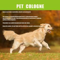 Desodorizante Desodorizante Pet Perfume, Colônia Dog and Cat, Spray Fragrância, 50ml - Image 3