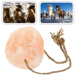 Bloco natural tijolo de sal animal lamber animais de estimação lambendo tijolos guloseimas de cavalos - Image 2