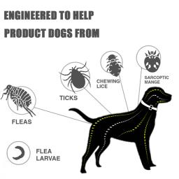 Pulga e coleira de silicone ajustável para cães e gatos, antimosquitos, repelente de insetos, pet fornecimentos, proteção de 8 meses - Image 4