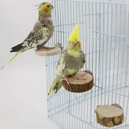 Round Wooden Stand Board para Pet, Bird Cage Poleiro, Poleiros Plataforma, Poleiros para Chinchilla, Squirrel Birds, Resin Toy, Novo, 6 cm, 8 cm, 10cm - Image 2